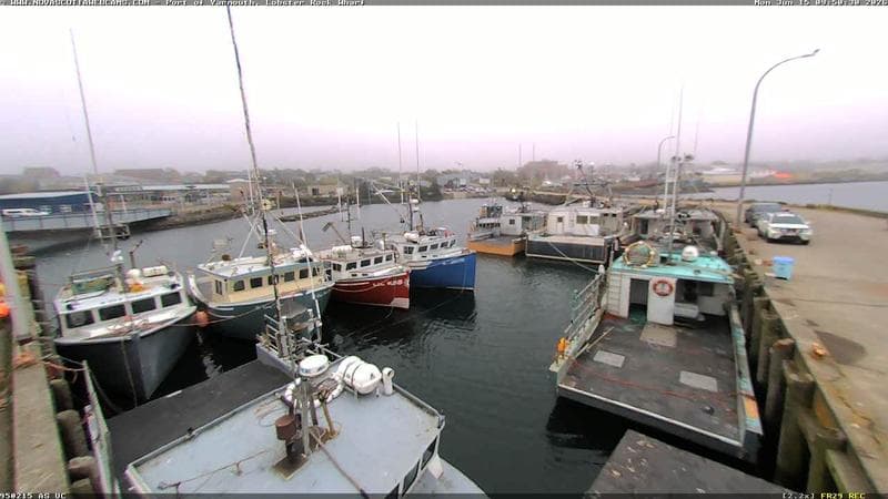 Lobster Rock Wharf East