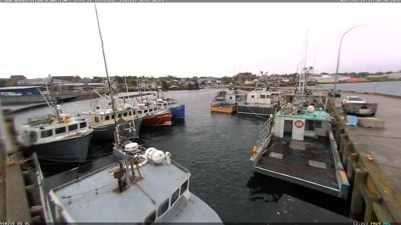Lobster Rock Wharf East