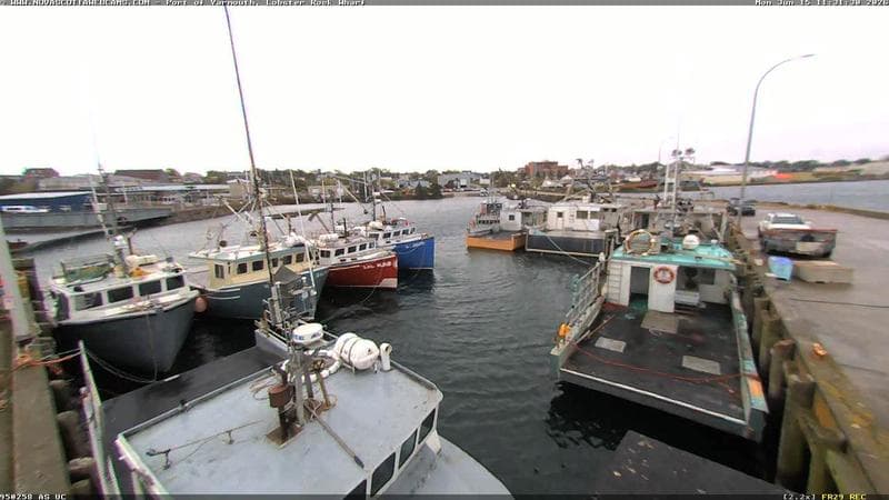 Lobster Rock Wharf East