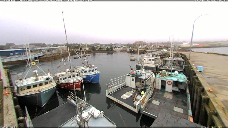 Lobster Rock Wharf East