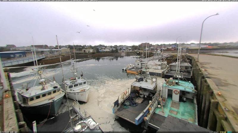 Lobster Rock Wharf East