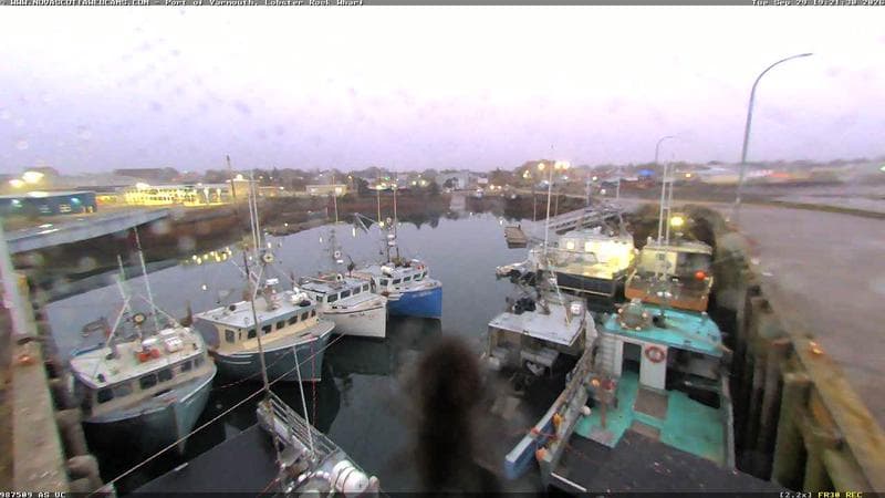Lobster Rock Wharf East