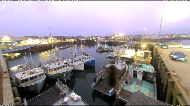 Lobster Rock Wharf East
