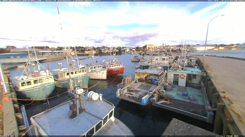 Lobster Rock Wharf East