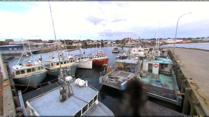 Lobster Rock Wharf East
