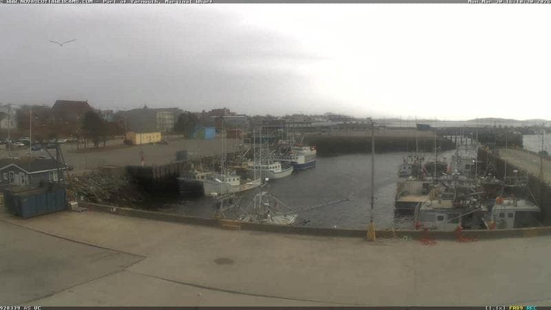 Marginal Wharf South