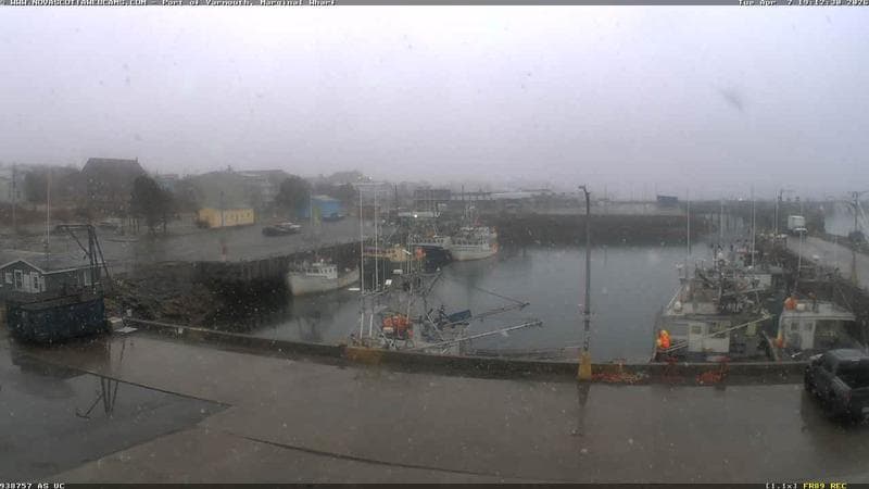 Marginal Wharf South