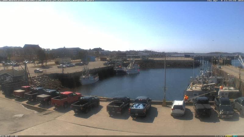 Marginal Wharf South