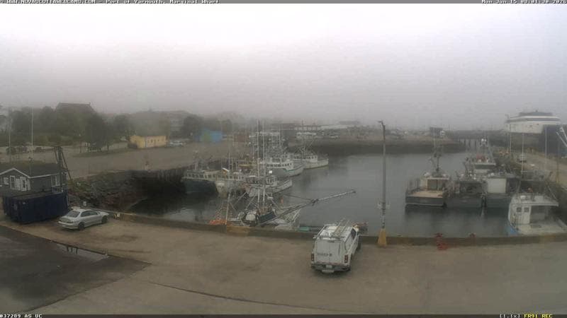 Marginal Wharf South