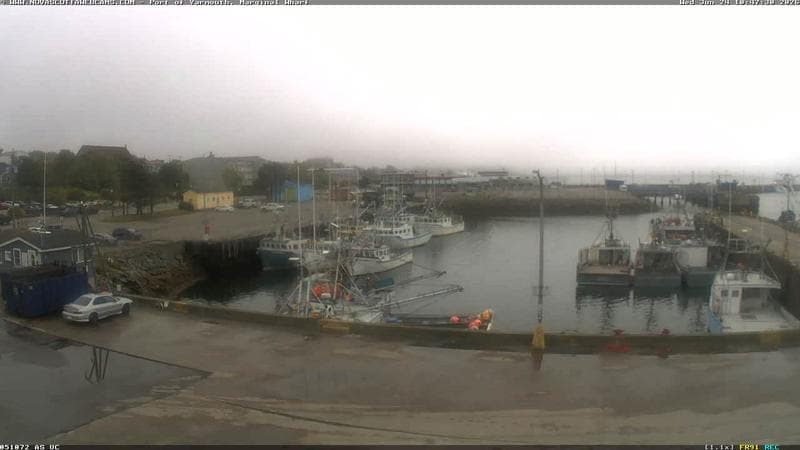 Marginal Wharf South