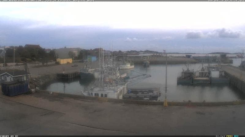 Marginal Wharf South