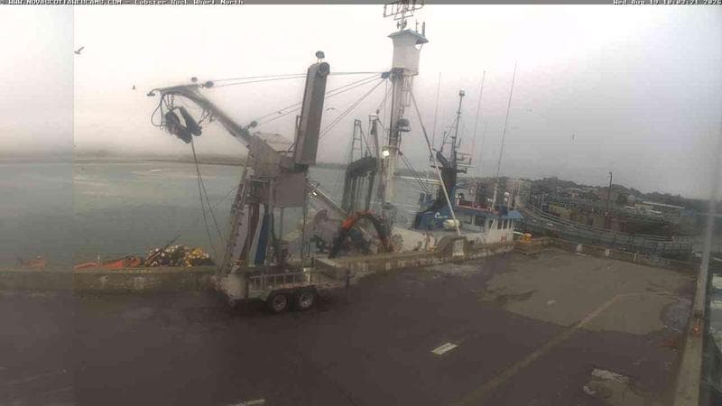 Lobster Rock Wharf North