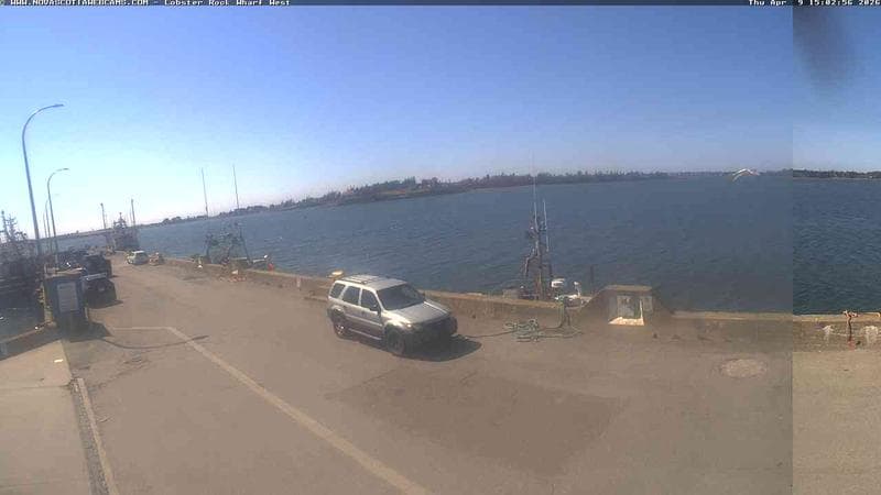 Lobster Rock Wharf West