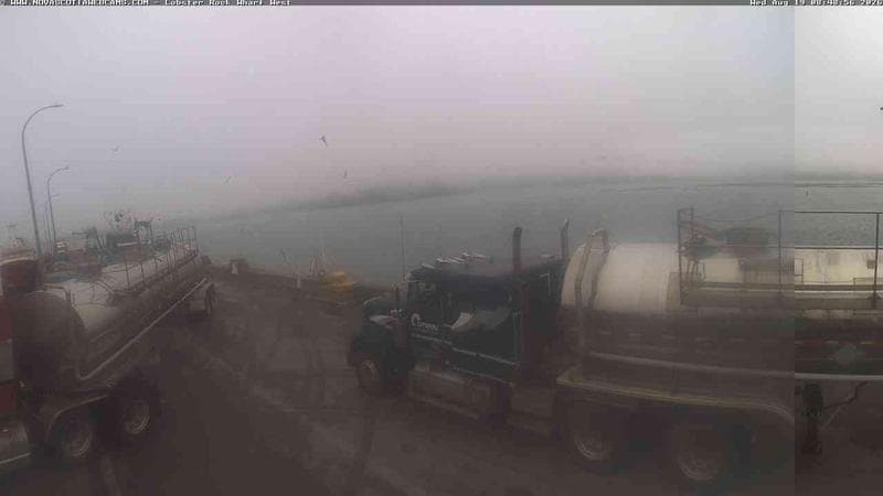 Lobster Rock Wharf West