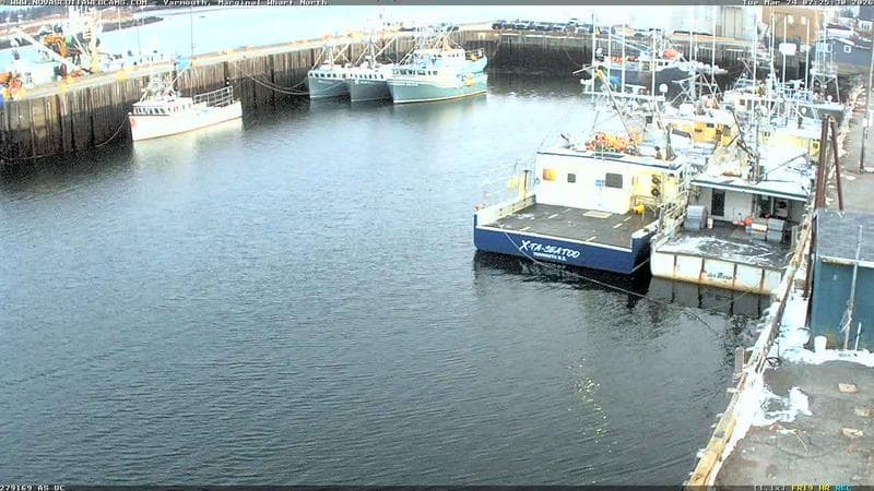 Marginal Wharf North