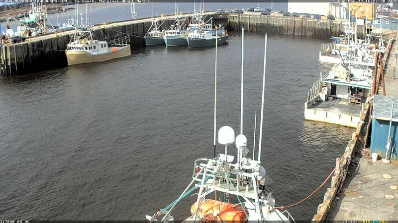 Marginal Wharf North