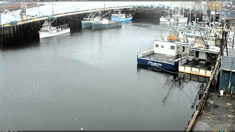 Marginal Wharf North