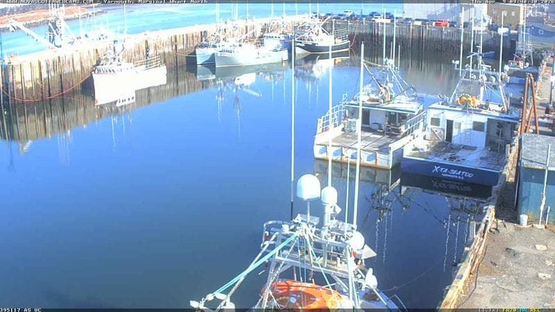 Marginal Wharf North