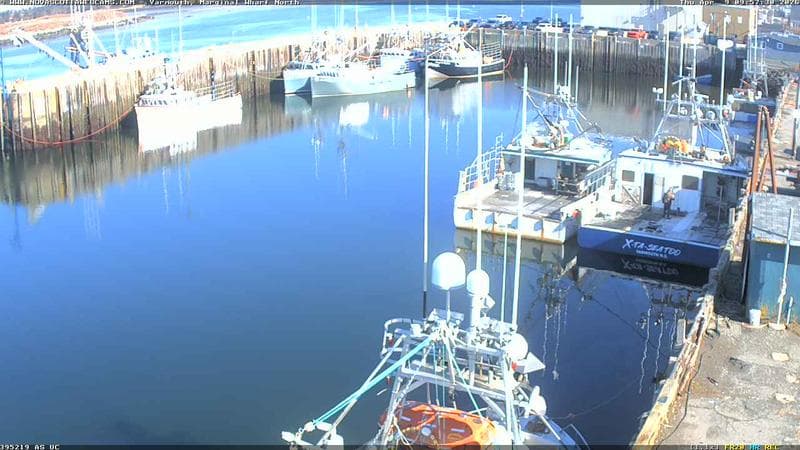 Marginal Wharf North