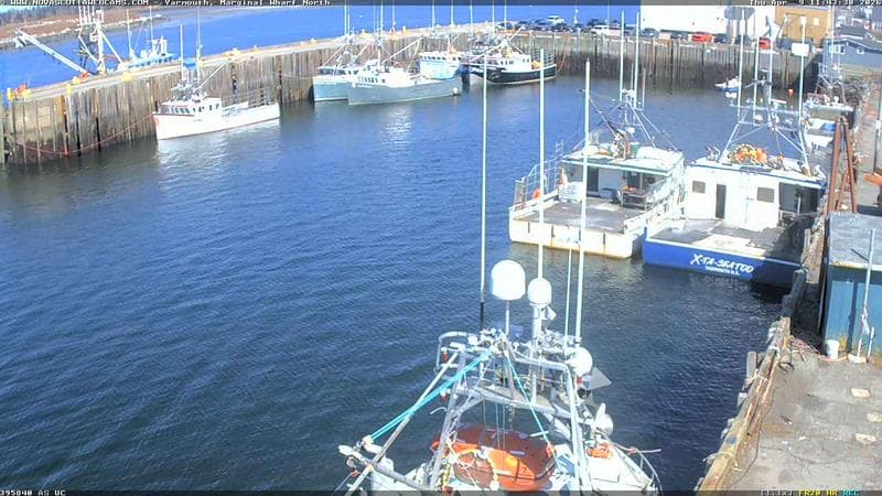 Marginal Wharf North