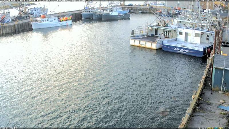 Marginal Wharf North