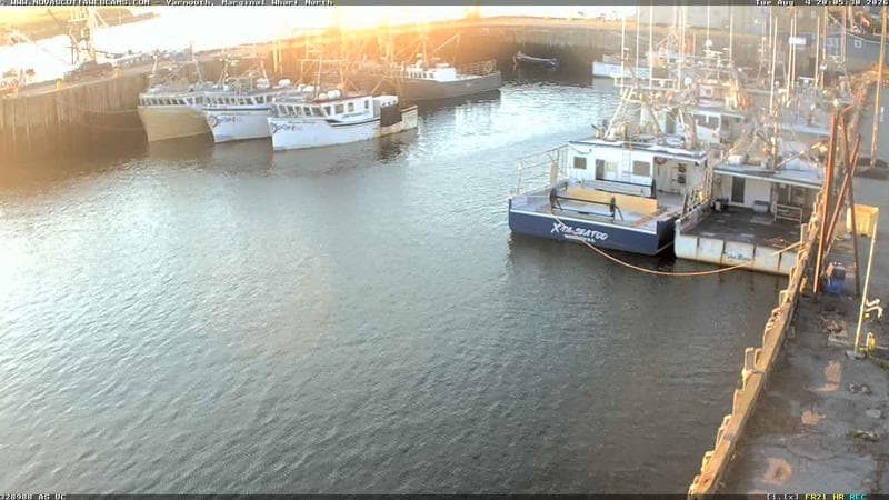 Marginal Wharf North