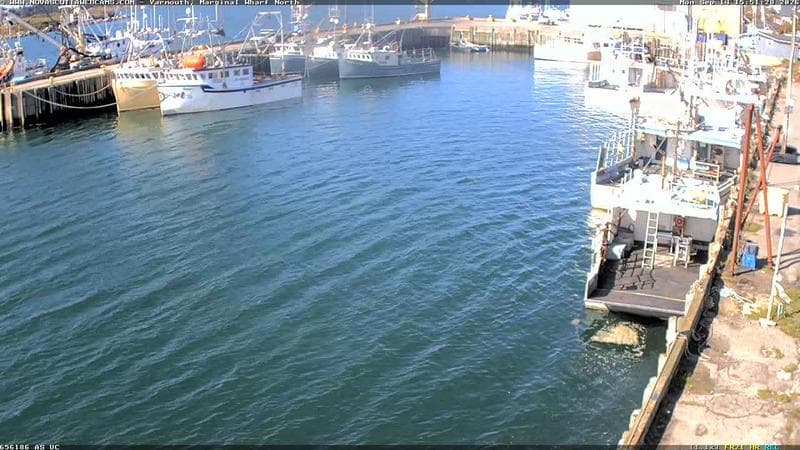 Marginal Wharf North