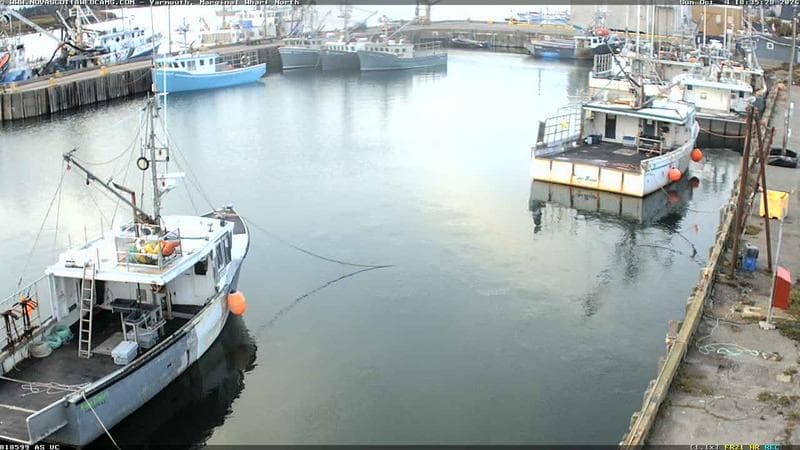 Marginal Wharf North