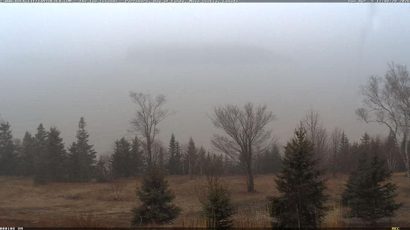 Rockcliffe by the Sea