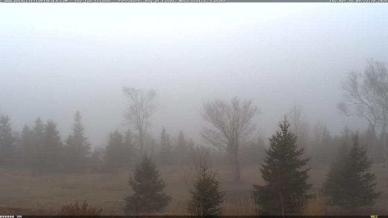 Rockcliffe by the Sea