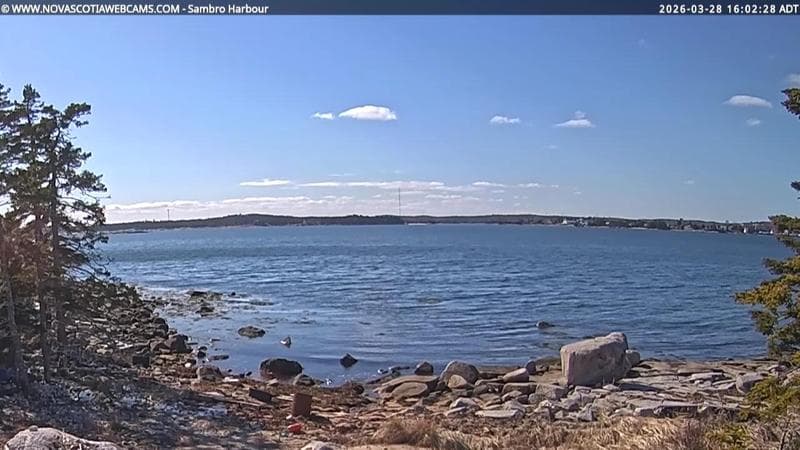Sambro Harbour