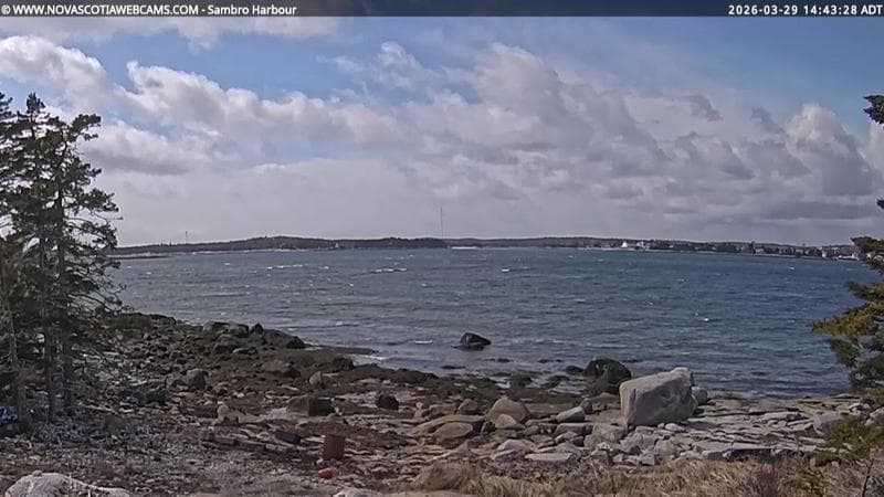 Sambro Harbour