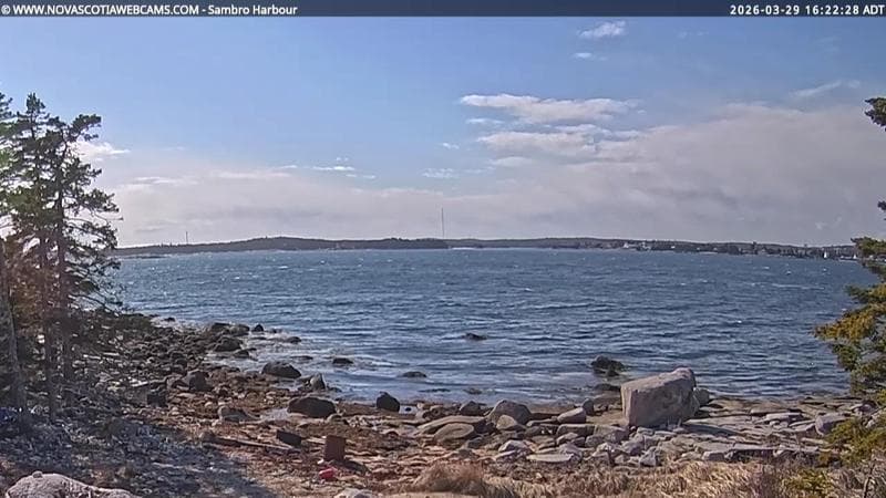 Sambro Harbour