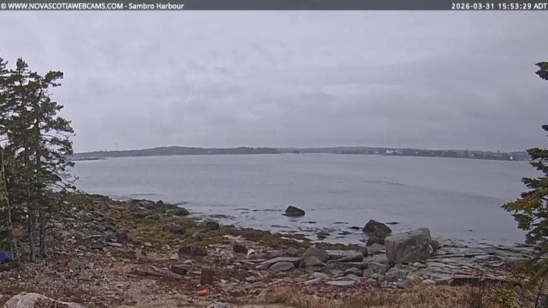 Sambro Harbour