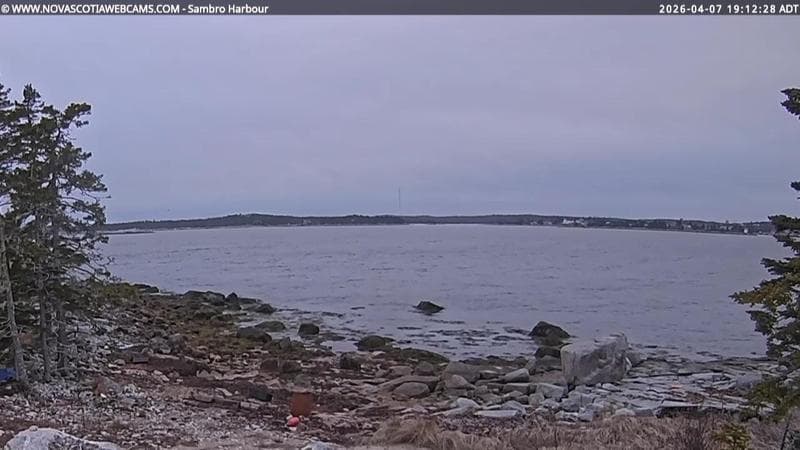 Sambro Harbour