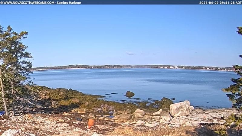 Sambro Harbour