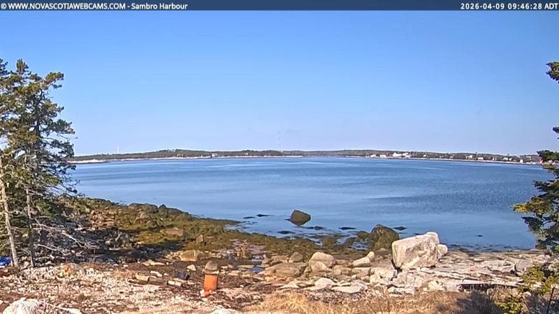Sambro Harbour