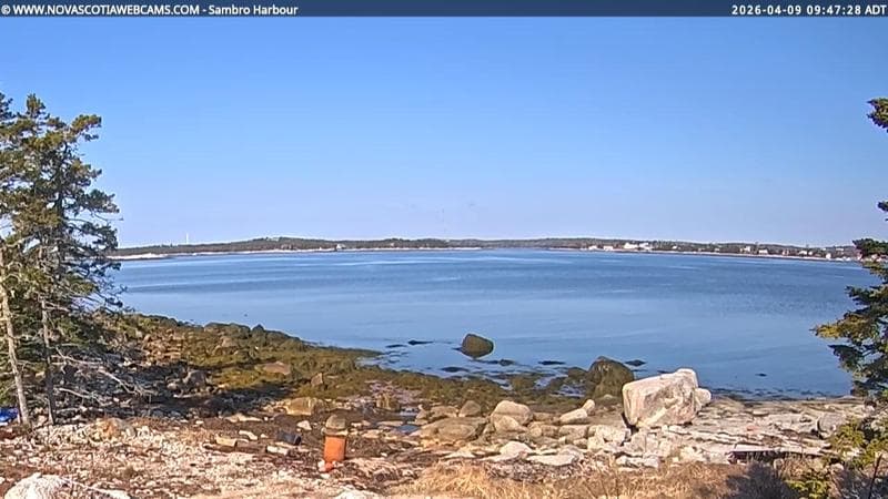 Sambro Harbour