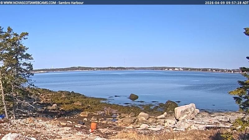 Sambro Harbour