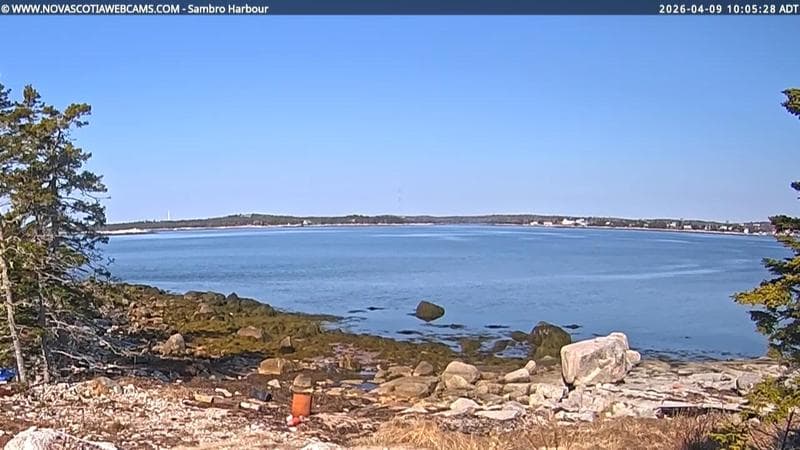 Sambro Harbour