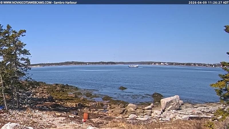 Sambro Harbour