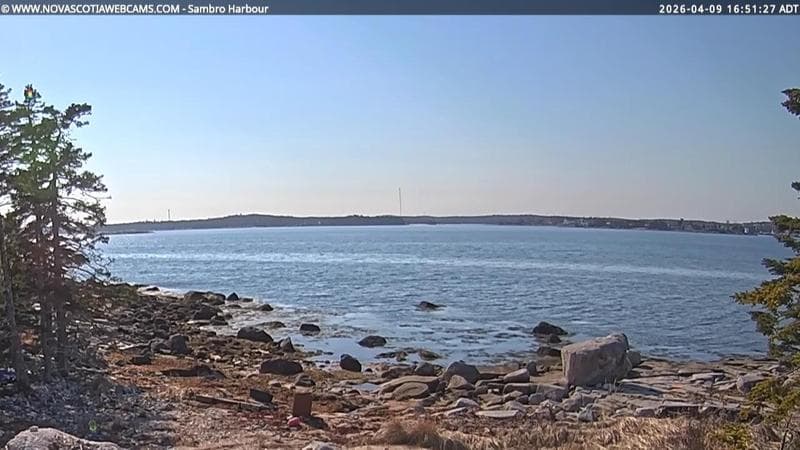 Sambro Harbour