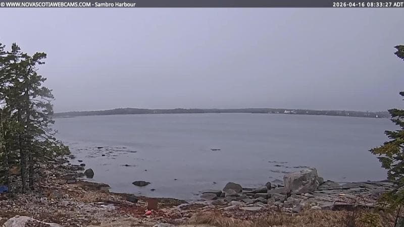 Sambro Harbour