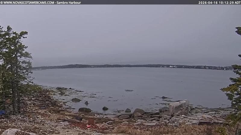 Sambro Harbour