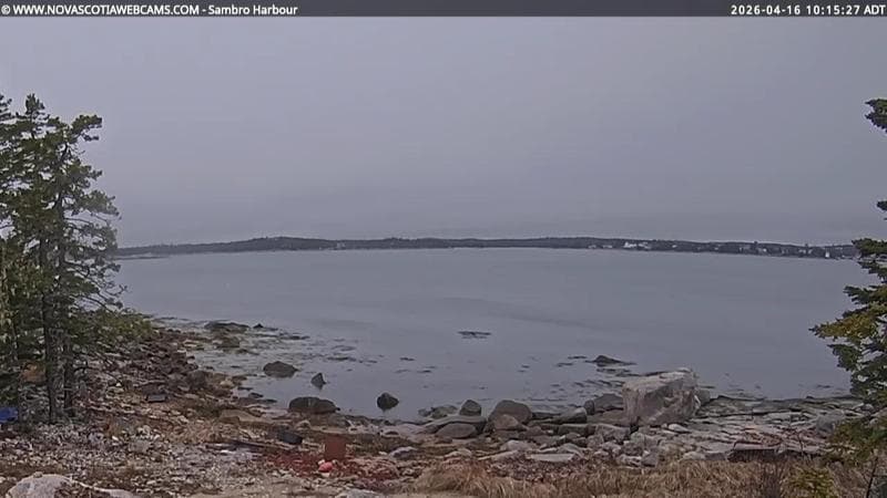 Sambro Harbour