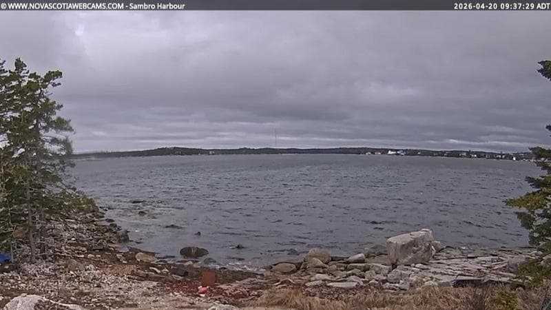 Sambro Harbour