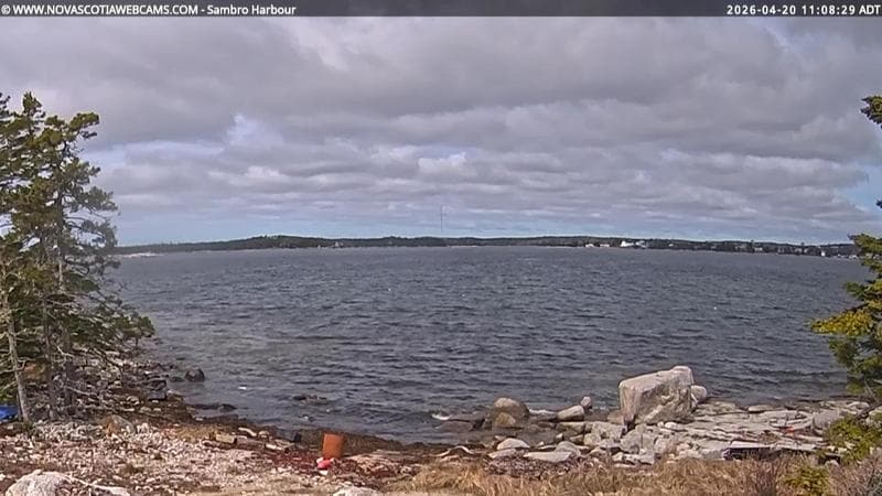 Sambro Harbour