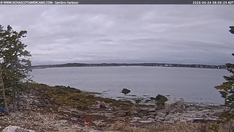 Sambro Harbour