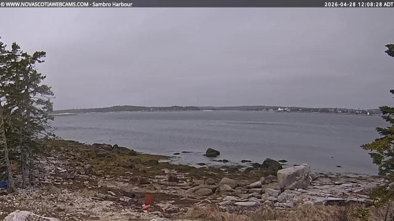 Sambro Harbour
