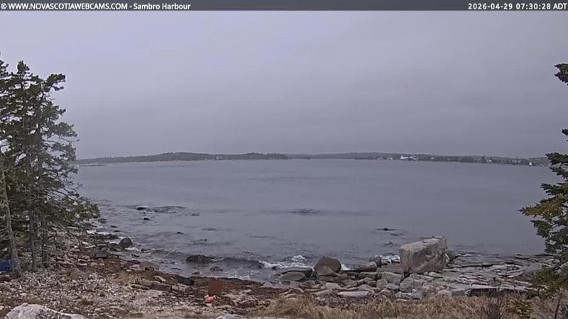 Sambro Harbour